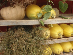 Tiny Bridge Farm
