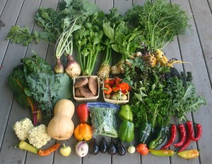 Abbott Farms