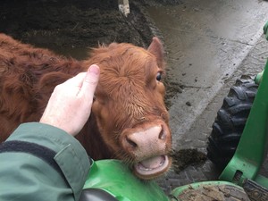 Sherwood Forest Farms