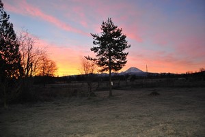 Meadowwood Farm
