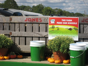 Jones Produce Farm