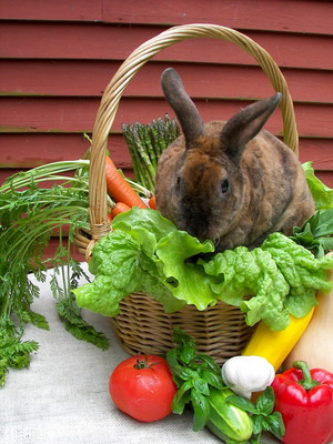 Bonita's Bounty