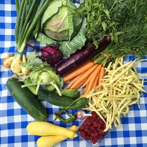 Simpaug Farms