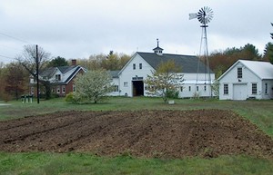 Chick Farm
