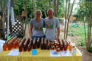 Bee Friendly Austin