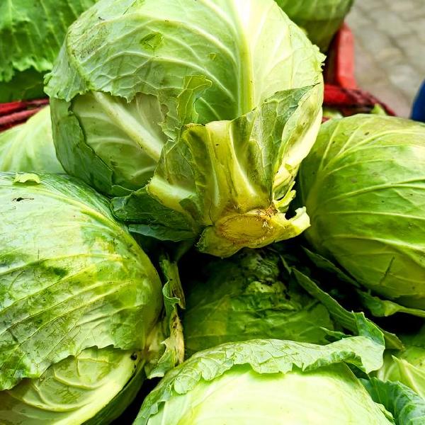 cabbage