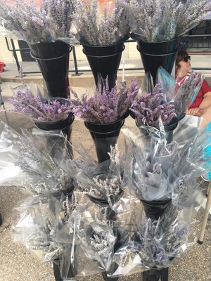 Archangels Infinity Lavender Ranch @ WFM