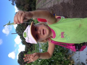 Inyoni Organic Farm