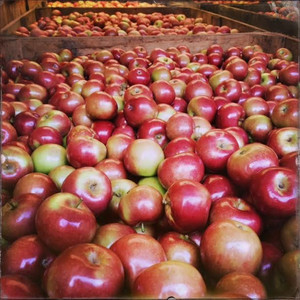Erie Orchards & Cider Mills