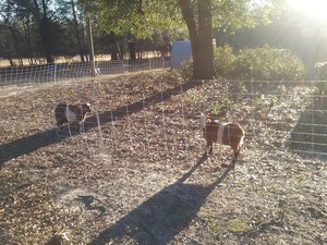 Urban Grange Farm, LLC.