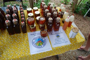 Bee Friendly Austin