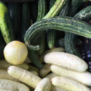 Aspen Moon Farm LLC