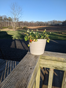 Negrey Family Farm