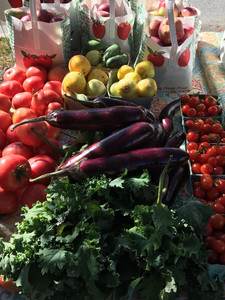 Unity Wellness Farm