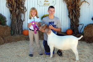 Trossbach Hilltop Farm