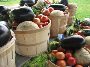 Von Thun Farms