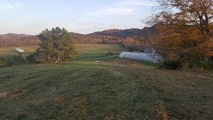 Rolling Fork Organic Farm