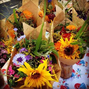 Leelanau Specialty Cut Flowers