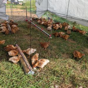 Robariah Farms