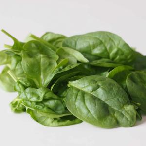 Harvest Tide Organics