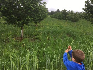 Lackner Family Farm