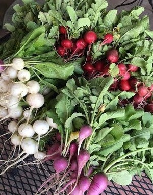 Alamogordo Farmers' Market
