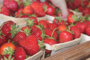 Monroe Farmers' Market