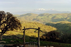 Connolly Ranch, Inc.
