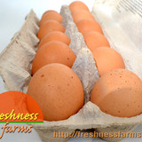 Freshness Farms