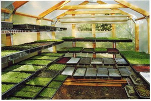 Georgia Microgreens LLC