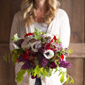 Red Daisy Farm