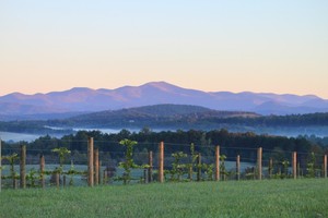 Chattooga Belle Farm