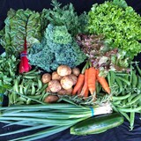 Rising River Farm