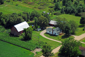 Lucky Star Farms