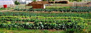 ACRES Student Farm