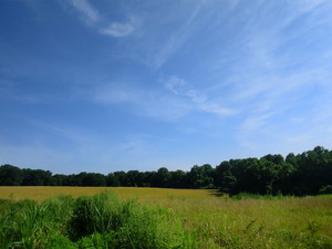 Kranz Hill Farm