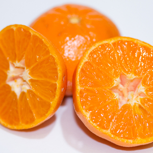 JR Organics