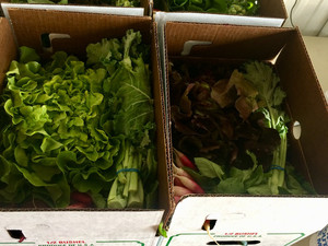 Savoie Organic Farm