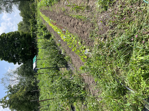Kits Garden, LLC