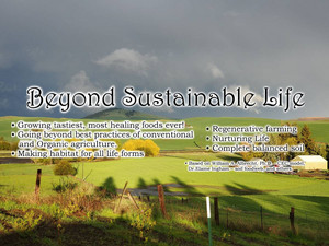 Beyond Sustainable Life