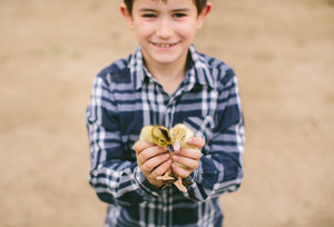 Fair Share Farms
