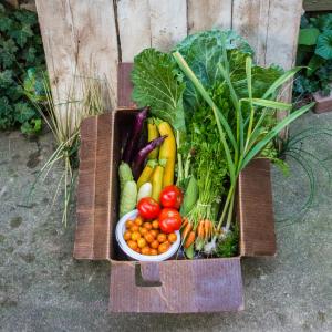 Hale's Harvest