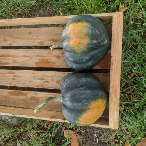 Full Circle Farm