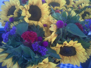Jax Farmer's Market in Lafayette