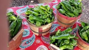 Zia Farmers Markets