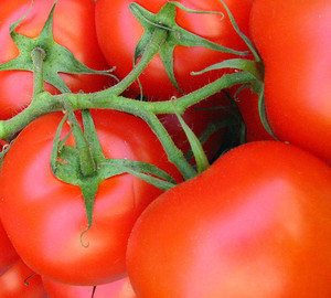 Local Yokel Foods