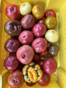 Cottingham Farm LLC