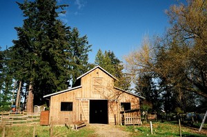 Simms Creek Farm