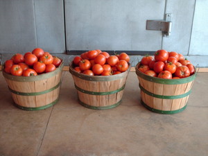 Fitzs Farms LLC