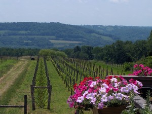 La Vigna Estate Winery